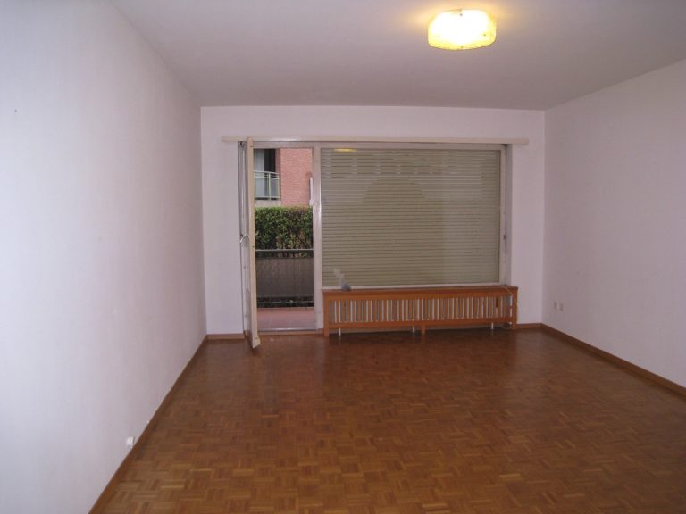 affittiamo appartamento Lugano-Paradiso soggiorno