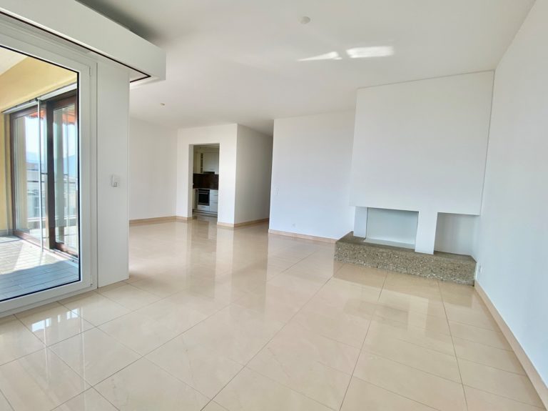 2 Affittiamo Lugano sala