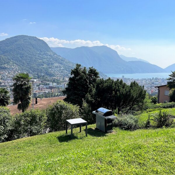 1-Vendiamo appartamento Porza vista