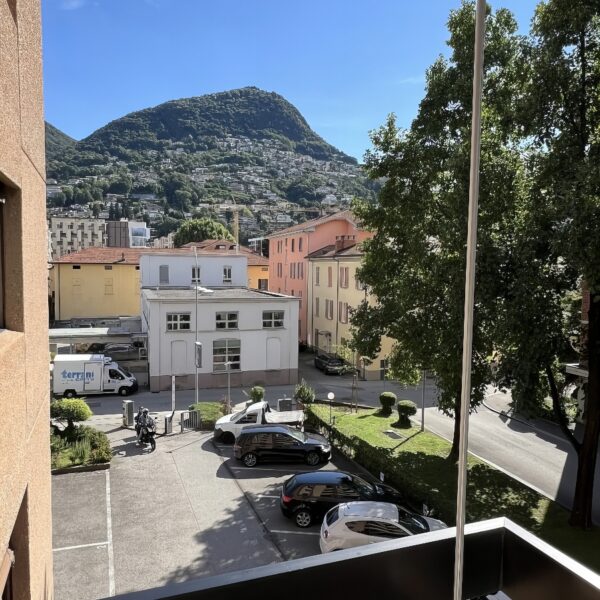 19 Vendiamo appartamento Viganello vista