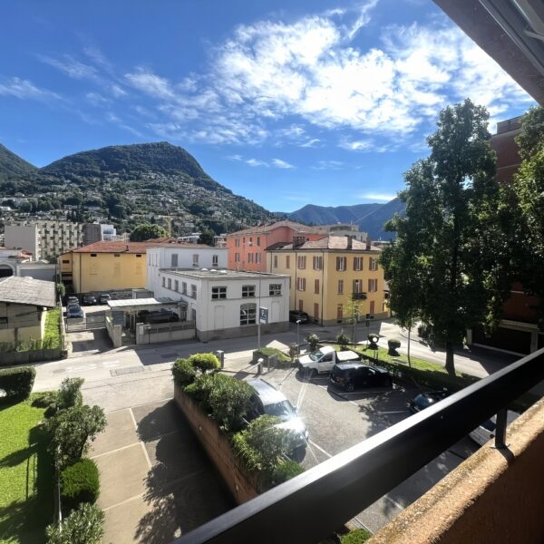 22 Vendiamo appartamento Viganello vista