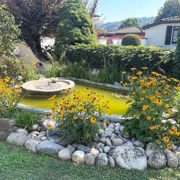 6-Vendiamo casa Magliaso giardino