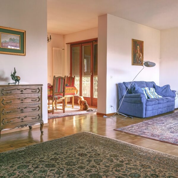7-Vendiamo Casa Montagnola salone