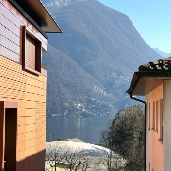 16 Vendiamo appartamento Lugano vista