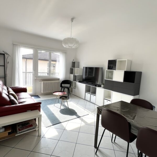 3 Vendiamo appartamento Lugano sala