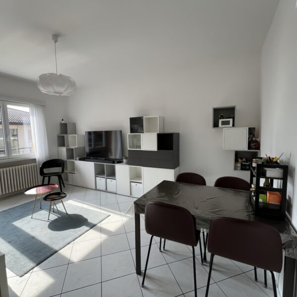 4 Vendiamo appartamento Lugano sala