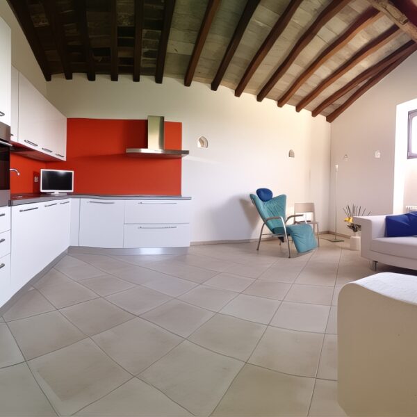 1-Affitto appartamento Coldrerio-sala