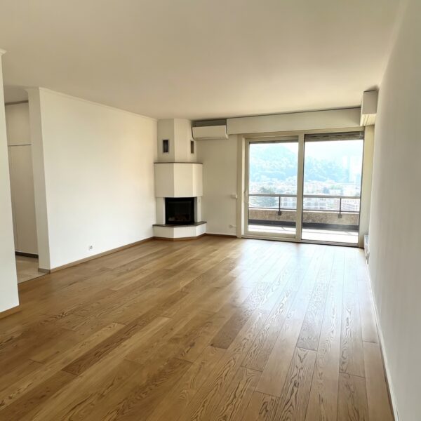 8 Vendiamo attico Lugano sala