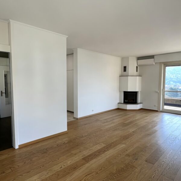 9 Vendiamo attico Lugano sala