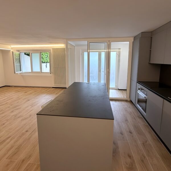 3 Vendiamo appartamento Massagno - cucina e sala