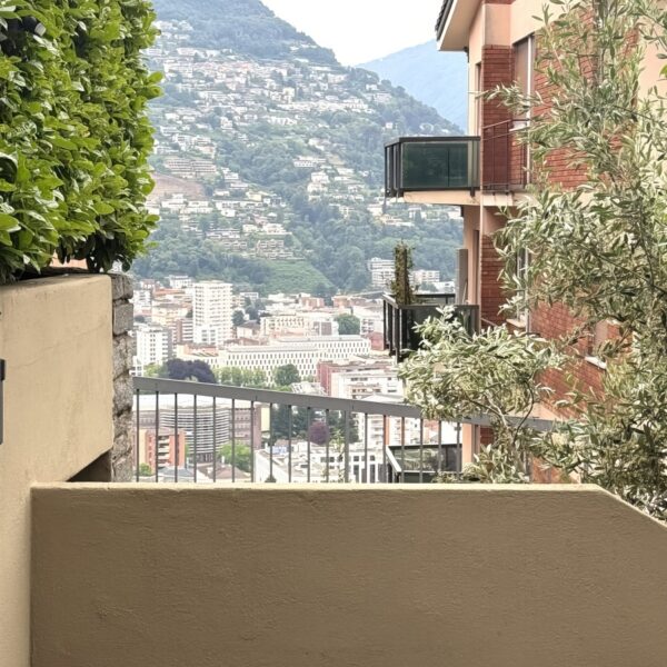 9 Vendiamo appartamento Massagno - vista