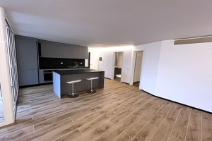 Vendiamo appartamento Massagno