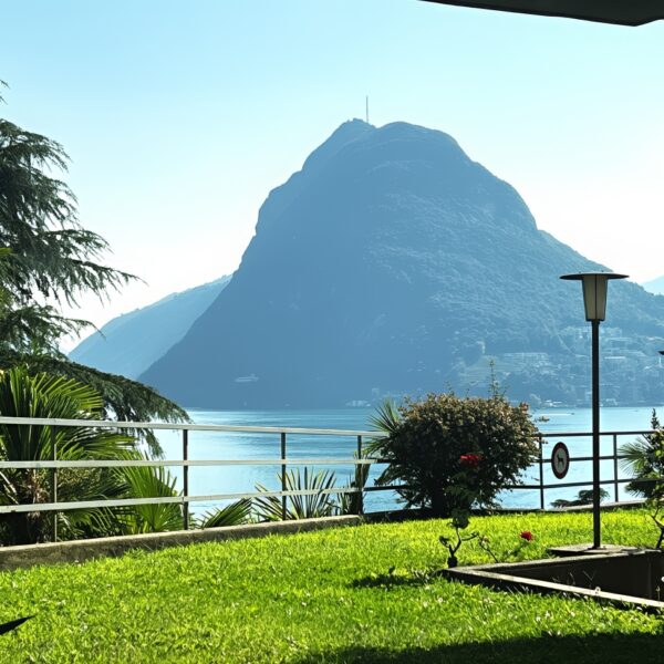 1 Vendiamo appartamento Castagnola - Vista