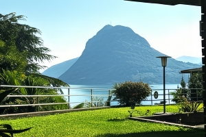 Vendiamo appartamento Castagnola