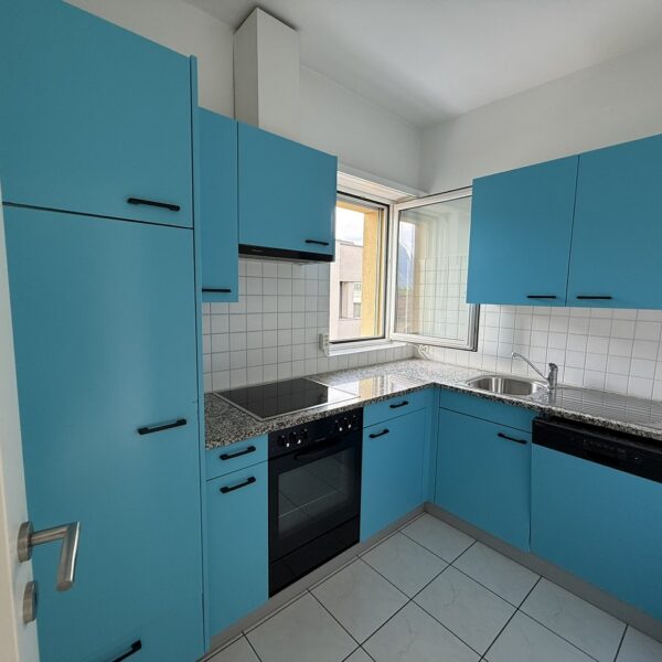 11 Vendiamo appartamento Lugano Cucina