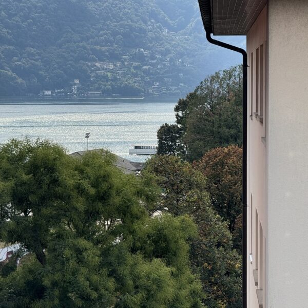 2 Vendiamo appartamento Lugano Vista