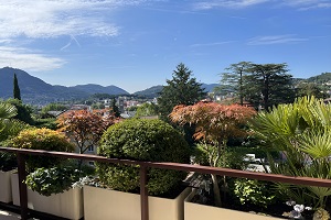 Immobili venduti V2 Vendiamo appartamento Massagno vista 300x200