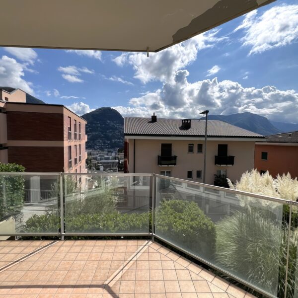 1 Vendiamo appartamento Massagno - vista