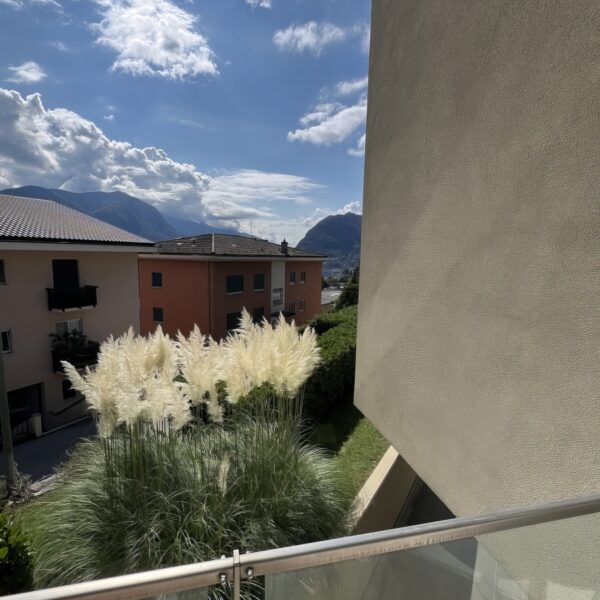11 Vendiamo appartamento Massagno - vista