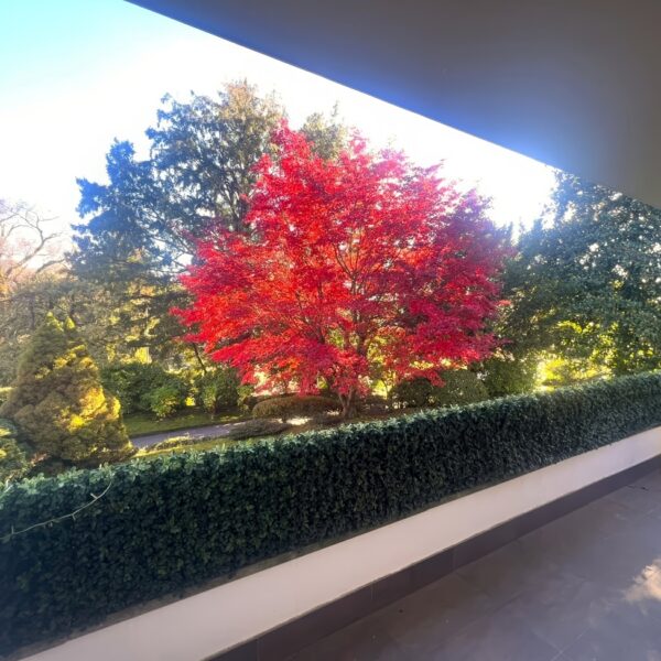 18 Vendiamo appartamento Bigogno D’Agra - terrazza