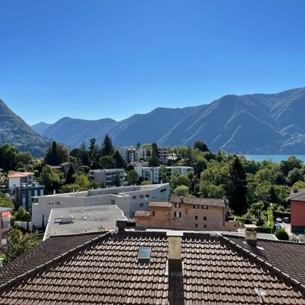 1 Vendiamo appartamento Lugano - Vista