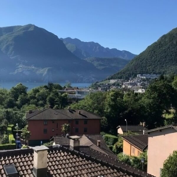 2 Vendiamo appartamento Lugano - Vista