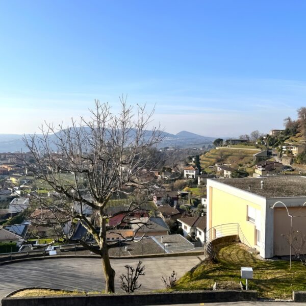 22 Vendiamo appartamento Morbio Inferiore - vista