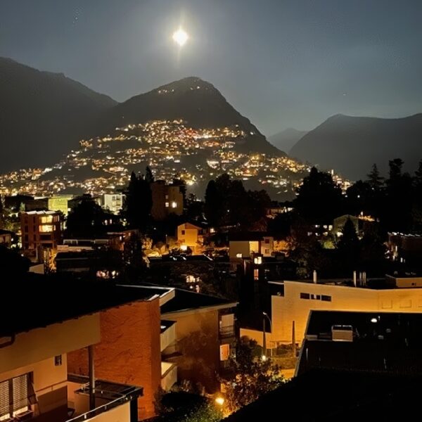 3 Vendiamo appartamento Lugano - Vista