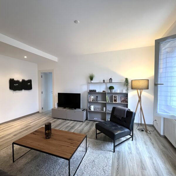 5 Vendiamo appartamento Lugano - Sala