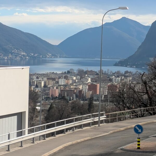 7-Affittiamo appartamento a Canobbio-Vista