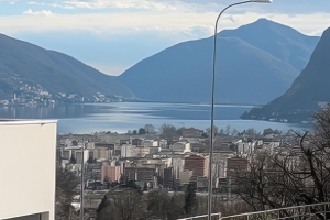 Affittiamo appartamento a Canobbio