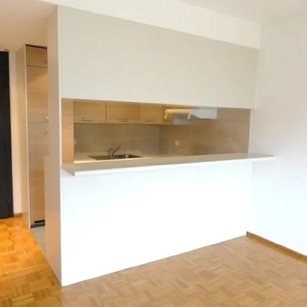 3 Vendiamo appartamento Lugano - Cucina