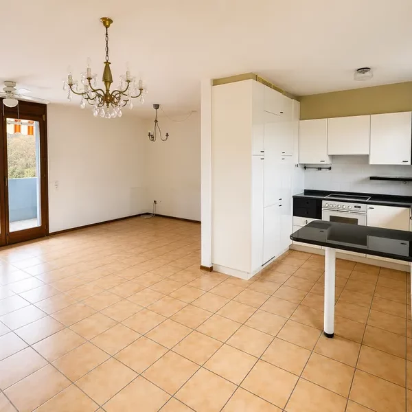5 Vendiamo appartamento Agno - Sala
