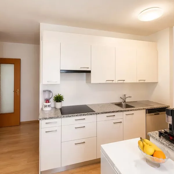 5 Vendiamo appartamento Paradiso - Cucina