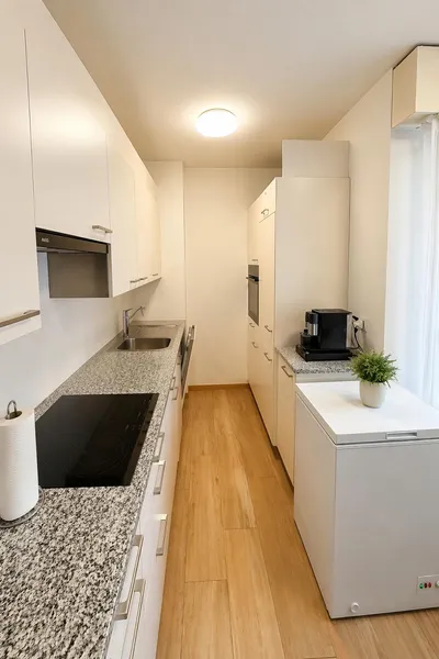6 Vendiamo appartamento Paradiso - Cucina